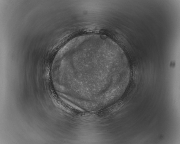 X0000114651154200911101314