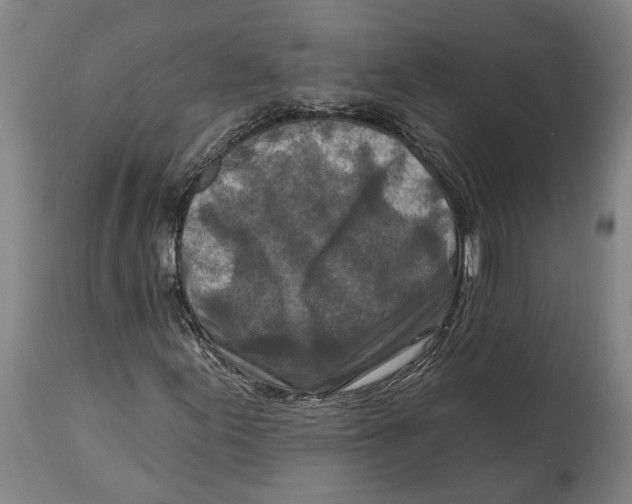 X0000114651155200911101314