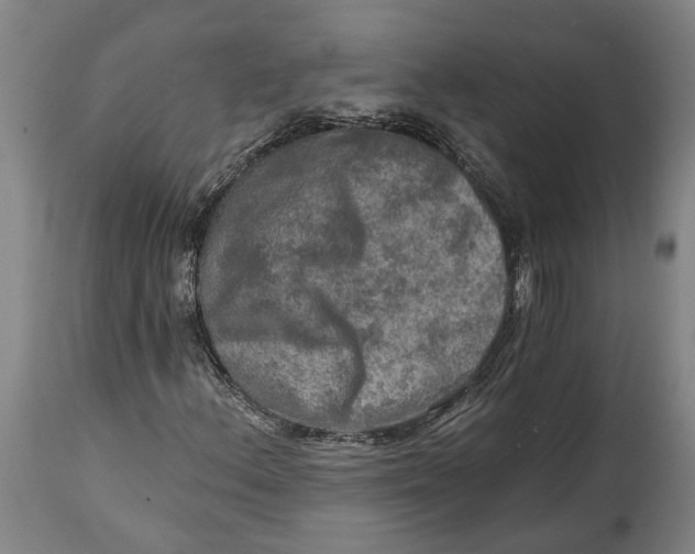 X0000114651156200911101314