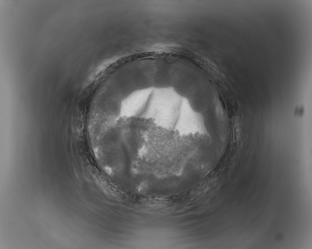 X0000114651158200911101314