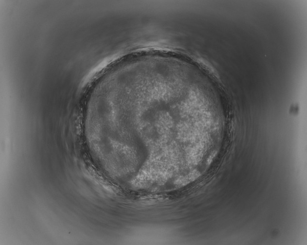 X0000114651159200911101314