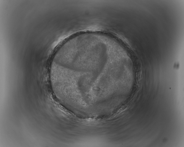 X0000114651160200911101314