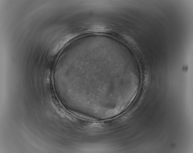 X0000114651161200911101314