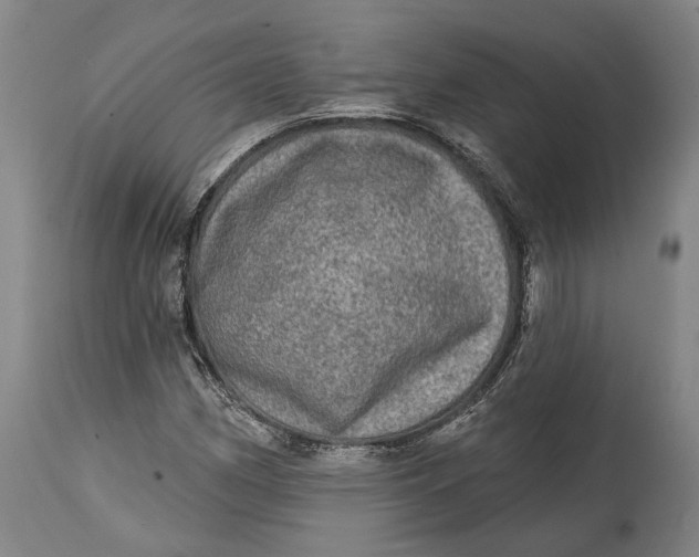 X0000114651162200911101314