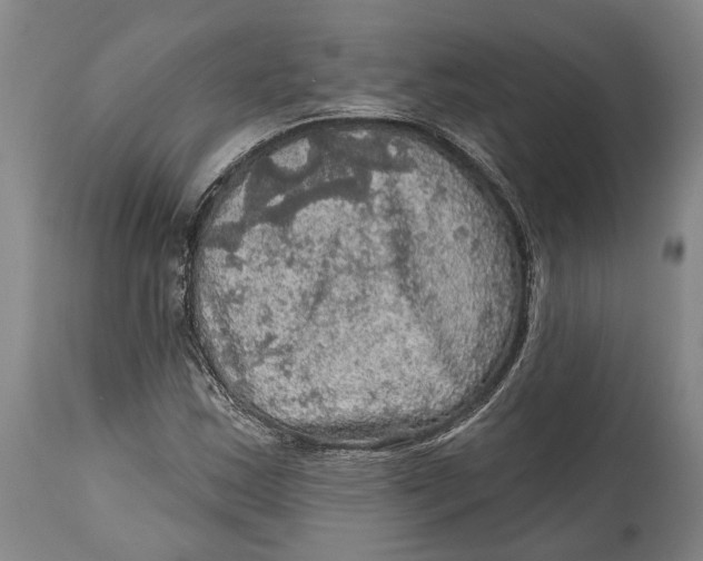 X0000114651163200911101314