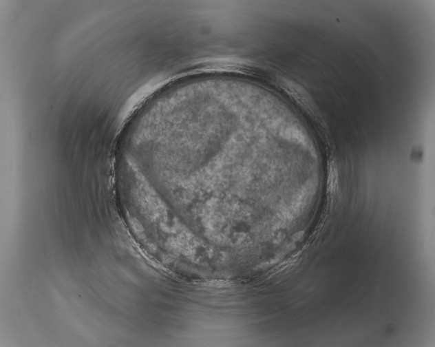 X0000114651164200911101314