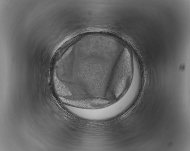 X0000114651165200911101314