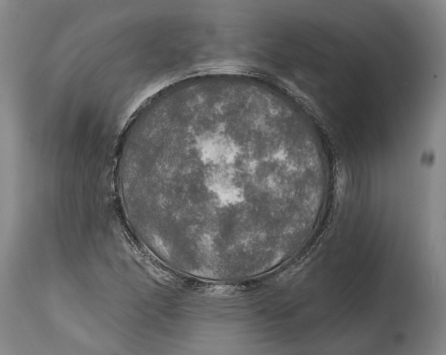 X0000114651166200911101314