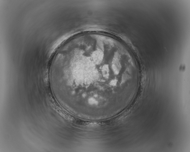 X0000114651167200911101314