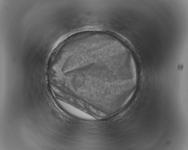 X0000114651168200911101314