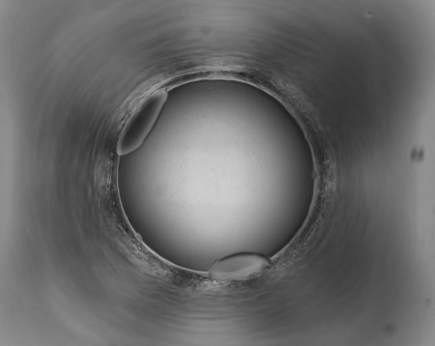 X0000114651169200911101314