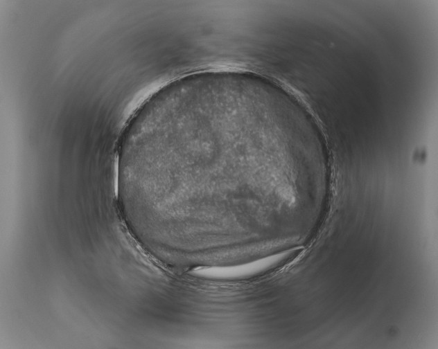 X0000114651171200911101314