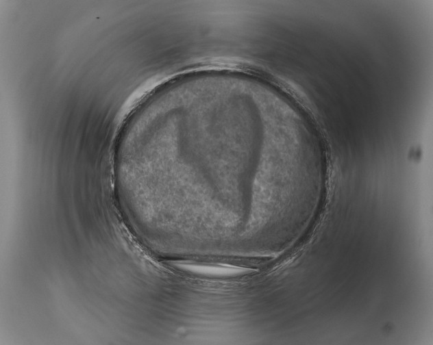 X0000114651172200911101314