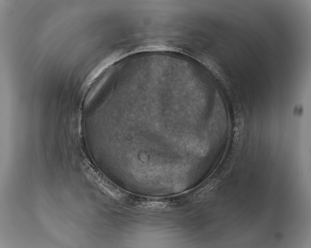 X0000114651173200911101314