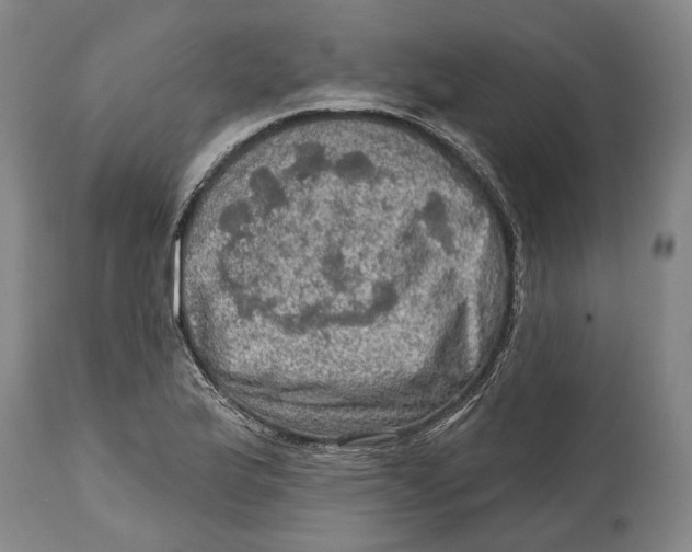 X0000114651175200911101314