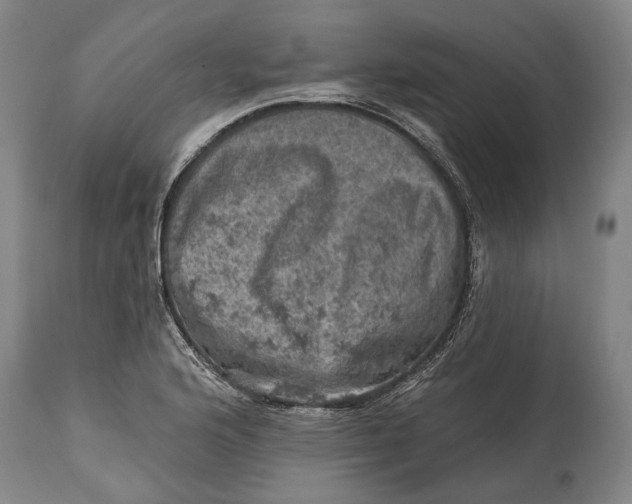 X0000114651176200911101314