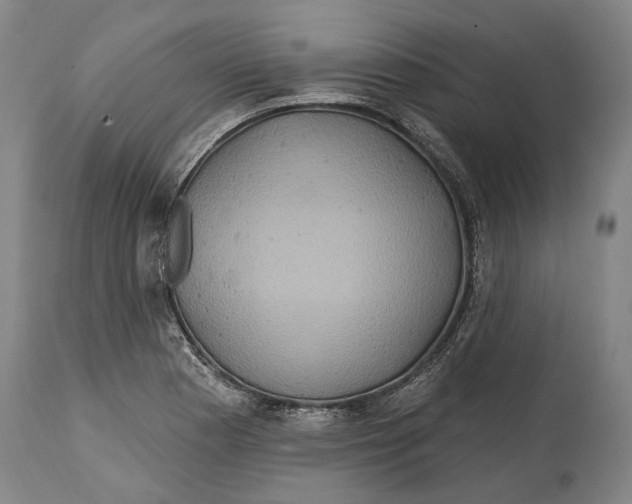 X0000114651177200911101314