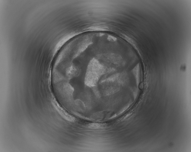 X0000114651179200911101314