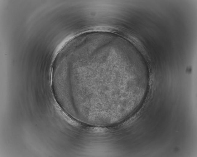 X0000114651180200911101314