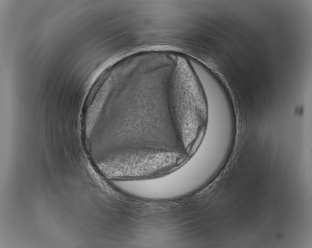 X0000114651181200911101314