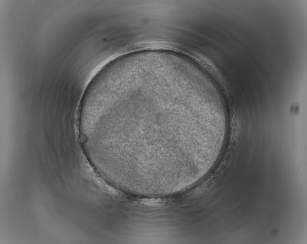 X0000114651182200911101314