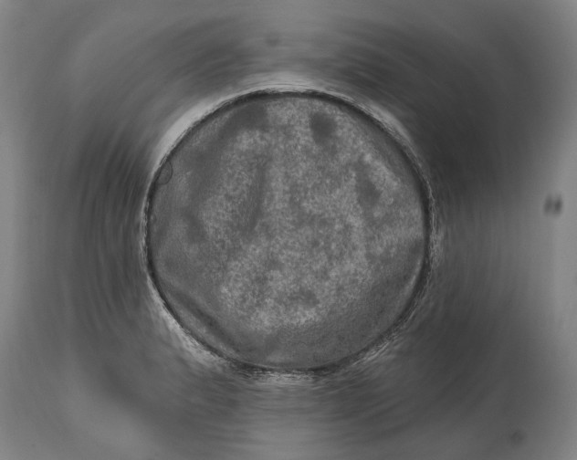 X0000114651183200911101314