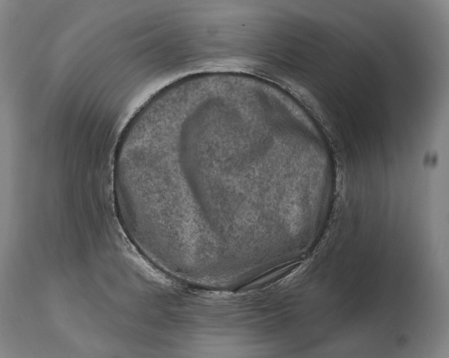 X0000114651184200911101314