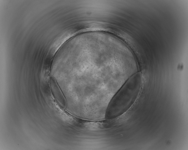 X0000114651185200911101314