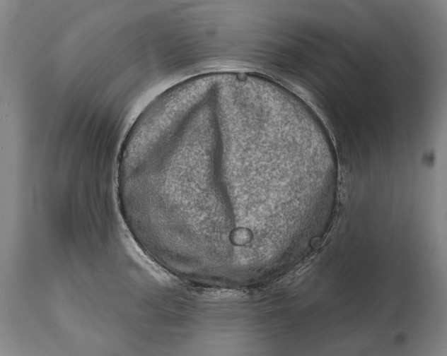 X0000114651187200911101314