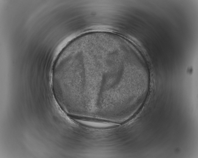 X0000114651188200911101314