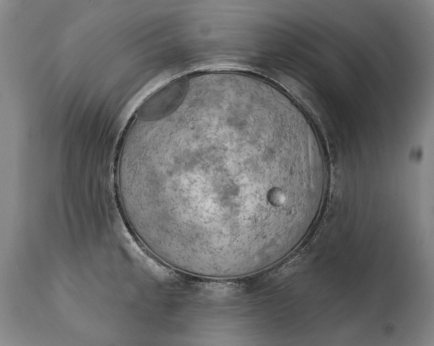 X0000114651189200911101314