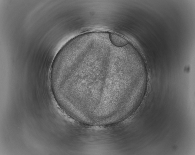 X0000114651190200911101314