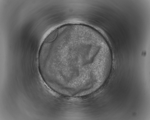 X0000114651191200911101314