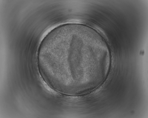 X0000114651192200911101314