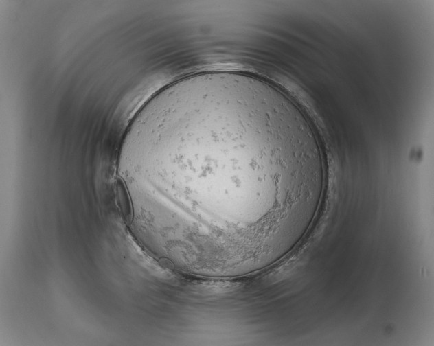 X0000114651193200911101314