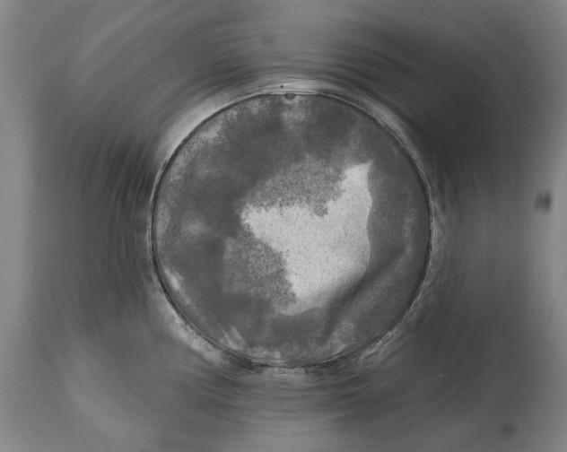 X0000114651194200911101314