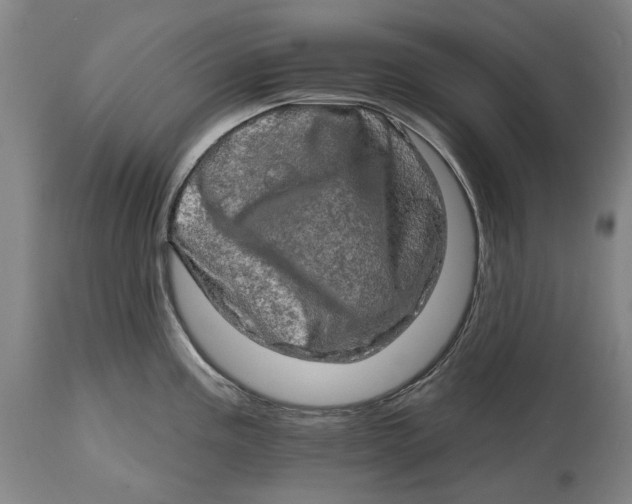 X0000114651195200911101314