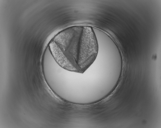 X0000114651196200911101314