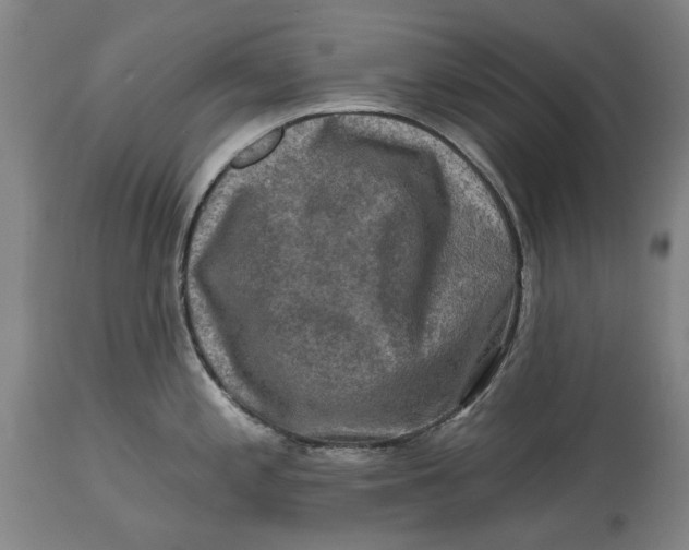 X0000114651197200911101314