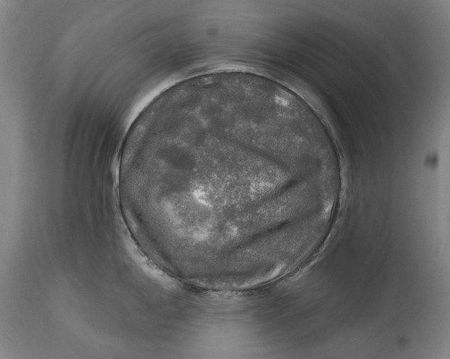 X0000114651198200911101314