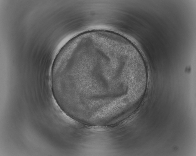 X0000114651199200911101314