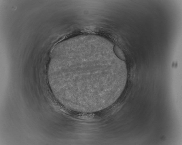 X0000114651201200911101313