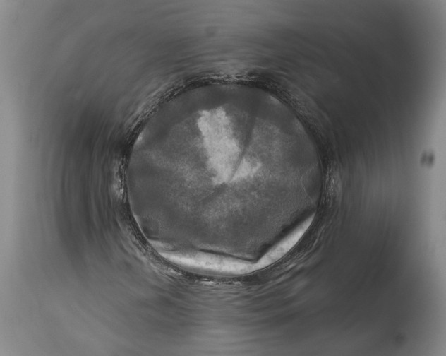 X0000114651202200911101313