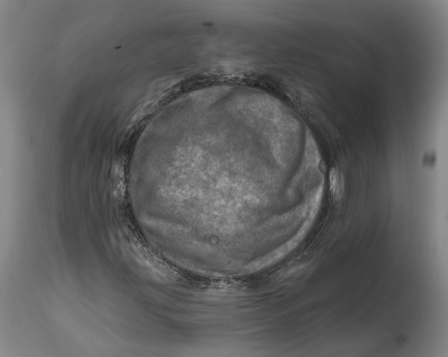 X0000114651203200911101313