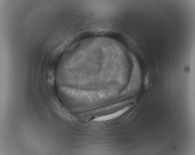 X0000114651204200911101313