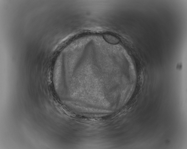 X0000114651205200911101313