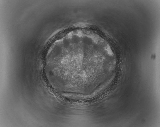 X0000114651206200911101313