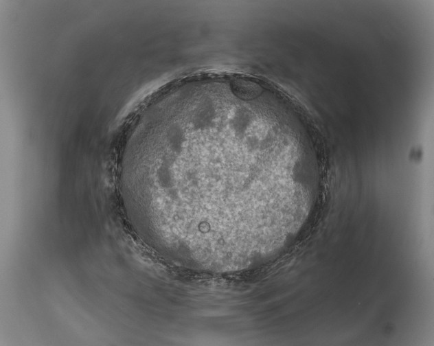 X0000114651207200911101313