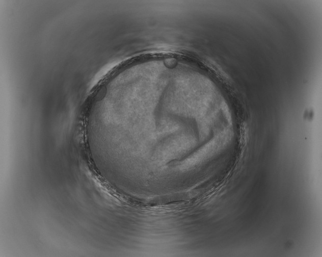 X0000114651208200911101313