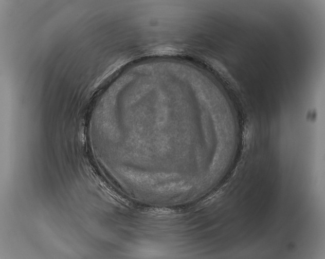 X0000114651209200911101313